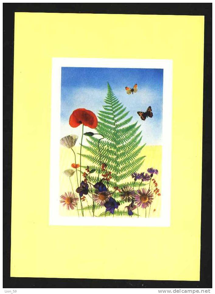 Illustrator D.ZACHAR - Butterfly And  POPPY POPPIES  CZECH Pc 15300 - Schmetterlinge