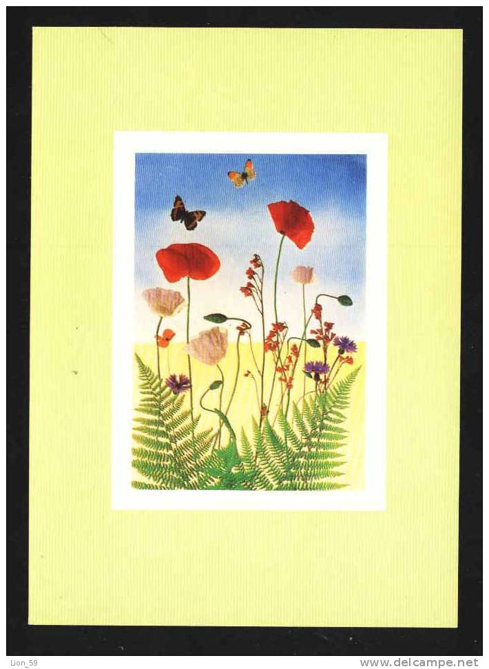 Illustrator D.ZACHAR - Butterfly And  POPPY POPPIES  CZECH Pc 15298 - Vlinders