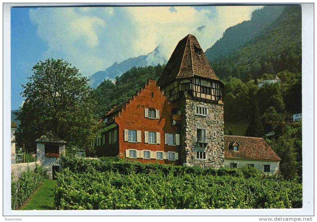 CP VADUZ LIECHTENSTEIN ROTES HAUS 13 JAHRHUNDERT - Liechtenstein