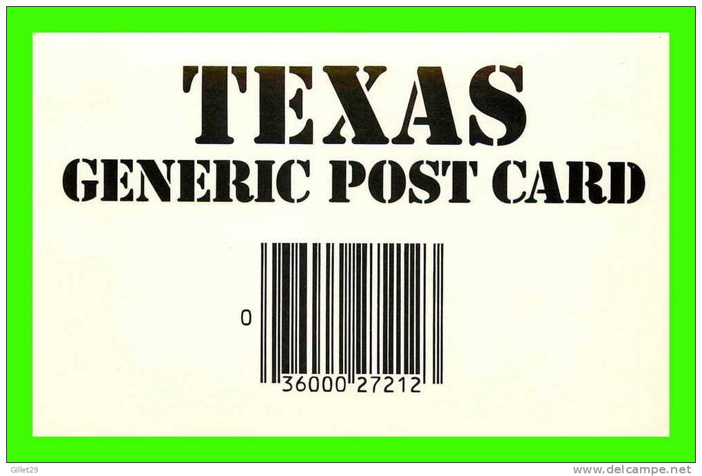 TEXAS -  GENERIC POST CARD - - Altri & Non Classificati