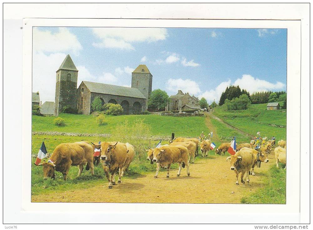 TRANSHUMANCE  Devant   LA DOMERIE D'AUBRAC  -  N° 724 - Allevamenti