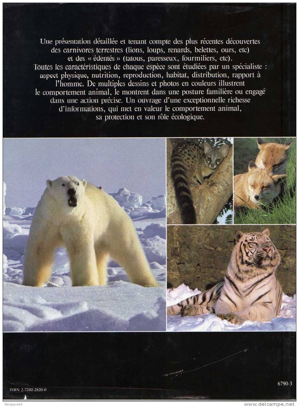 Les Animaux Du Monde Entier CARNIVORES Et ÉDENTÉS - Encyclopedieën