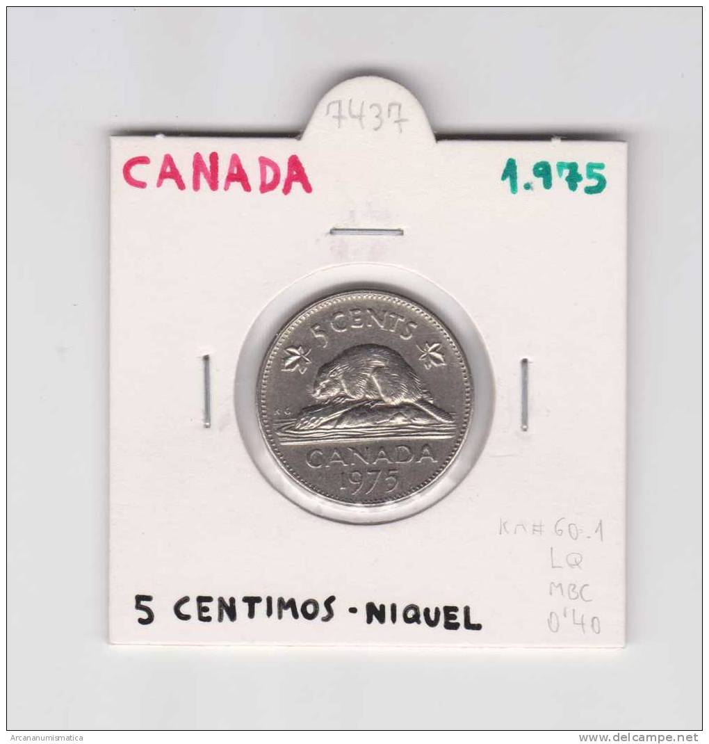 CANADA  5  CENTIMOS  1.975    NIQUEL  KM#60.1   MBC/VF   DL-7437 - Canada