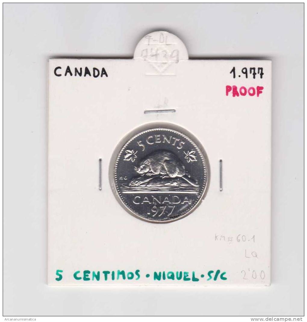 CANADA  5  CENTIMOS  1.977  PROOF  NIQUEL  KM#60.1   SC/UNC    DL-7439 - Canada