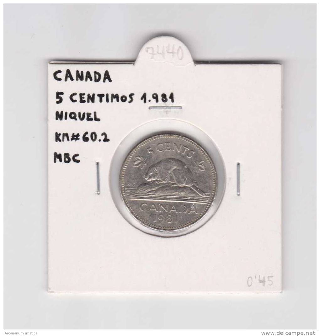 CANADA  5  CENTIMOS  1.981    NIQUEL  KM#60.2   MBC/VF    DL-7440 - Canada