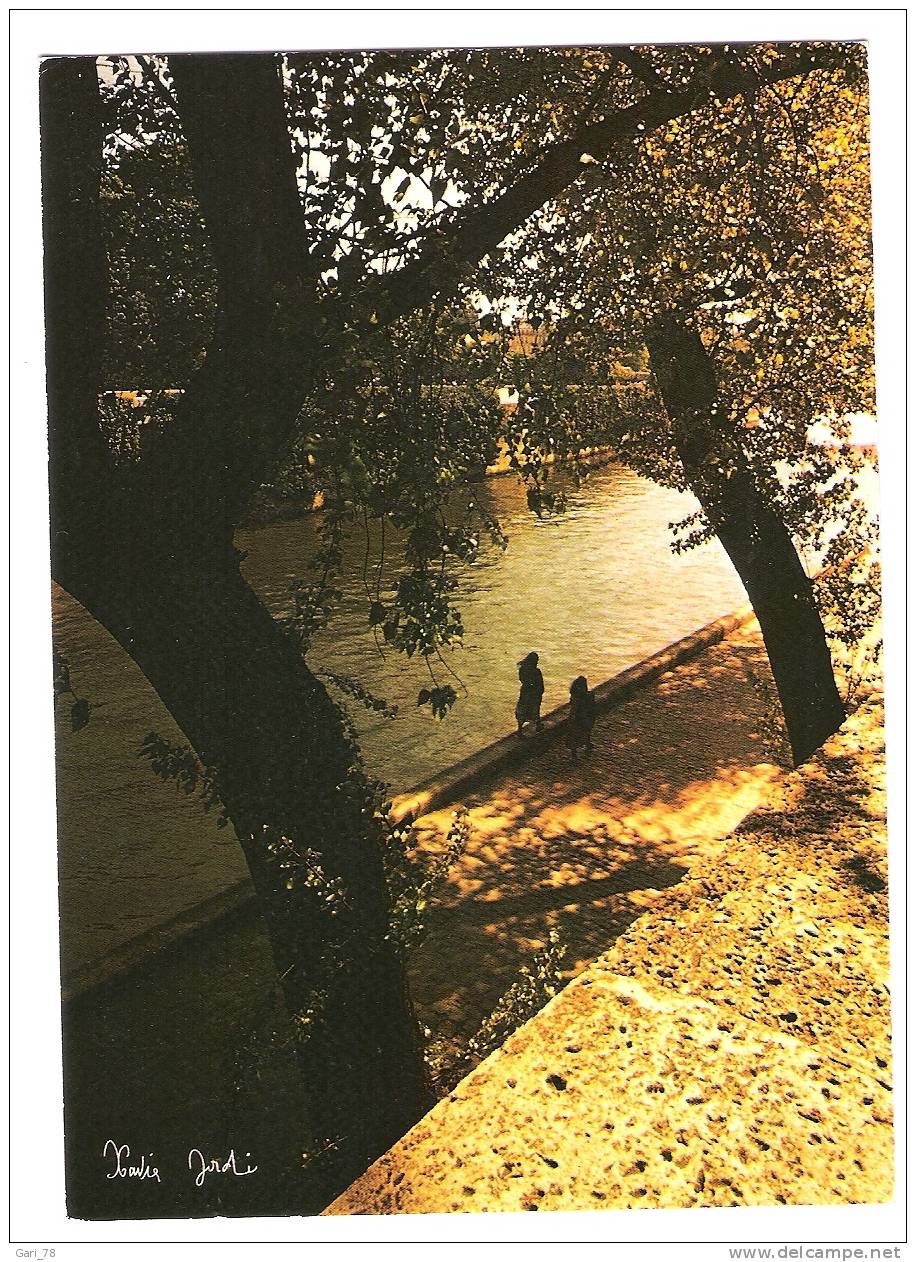 PARIS : LUMIERES Et SCENES  De PARIS - BORDS De SEINE - La Seine Et Ses Bords