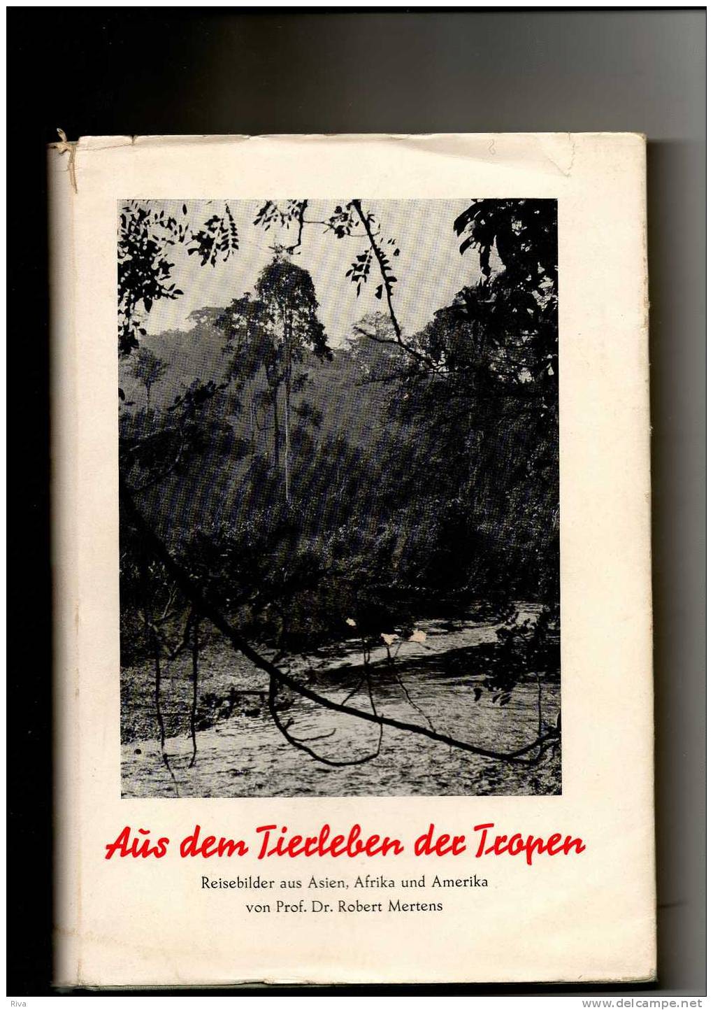 Aus Dem Tierleben Der Tropen  ( Reisebilder Aus  Asien - Afrika - Und Amerika ) ( 248 Pages Et Photos - Animaux