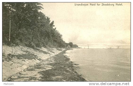 Danemark - Ref 66- Strandvejen Nord For Skodsborg Hotel  - Carte Bon Etat - - Danemark