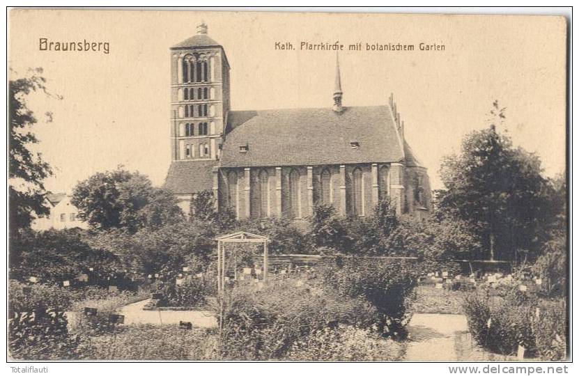 Braunsberg Katholische Pfarrkirche Botanischer Garten Braniewo Ungelaufen - Ostpreussen