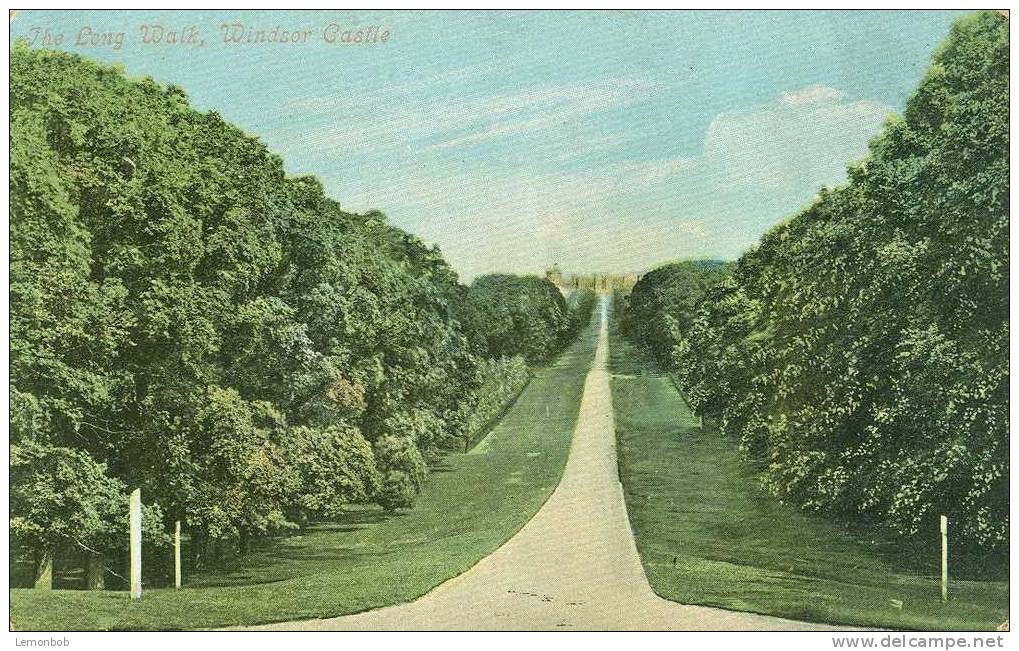 Britain United Kingdom - The Long Walk, Windsor Castle Early 1900s Postcard [P1441] - Windsor Castle