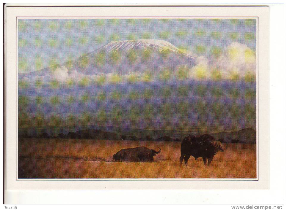 CPM Kenya Amboseli Kilimandjaro - Kenya