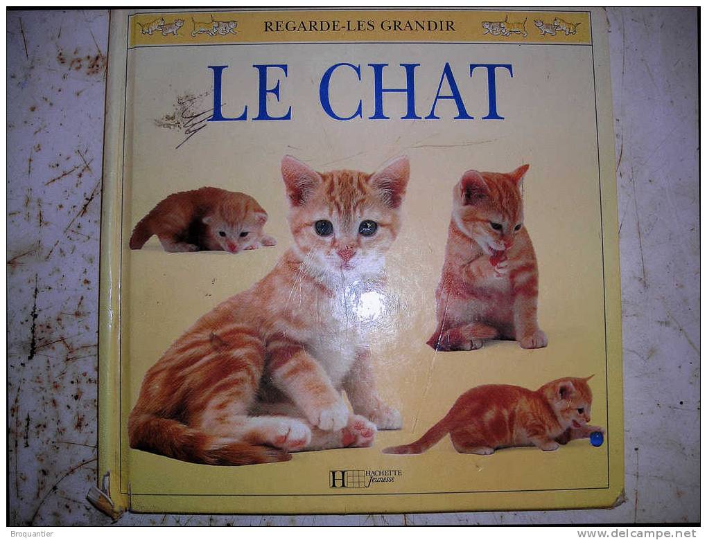Le Chat Regarde-les Grandir Chez Hachette Jeunesse. - Hachette