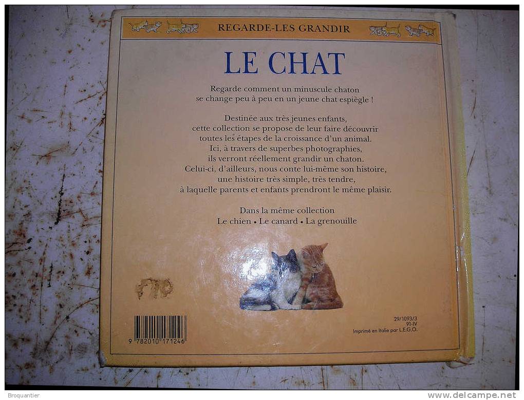 Le Chat Regarde-les Grandir Chez Hachette Jeunesse. - Hachette