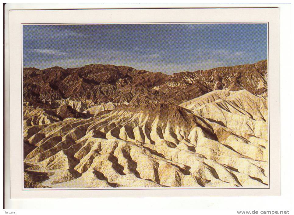 CPM USA Death Valley - Autres & Non Classés