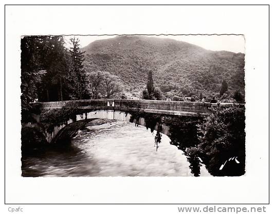 Saint Pe De Bigorre : Le Pont Sur Le Gave - Saint Pe De Bigorre