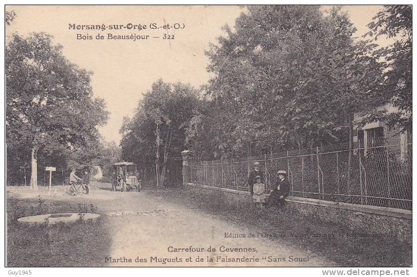 MORSANG-sur-ORGE : Bois De Beauséjour - Morsang Sur Orge