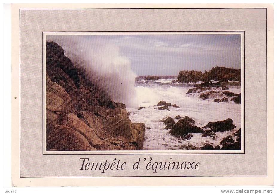 TEMPETE D´EQUINOXE  - N° PP 6 - Autres