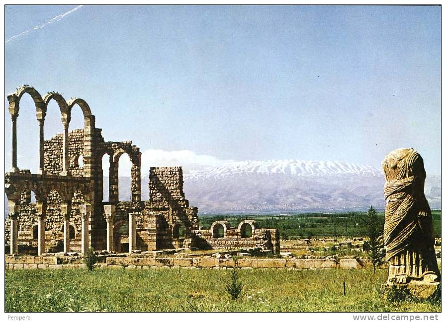 AK LIBANON LEBANON ,ANJAR  A RELIC FROM OMAYAD TIME ,THE COLONNADE ,BIG FORMAT  OLD POSTCARD - Libanon