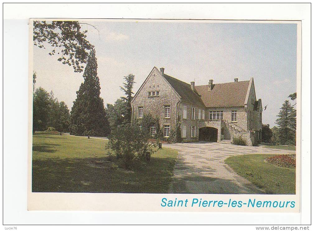 SAINT PIERRE LES NEMOURS -   L Hôtel De Ville Et Le Parc - Saint Pierre Les Nemours