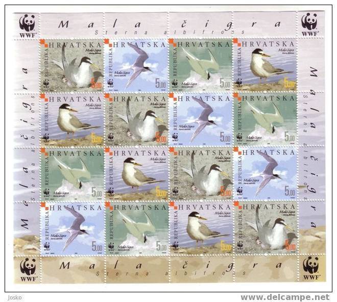 LITTLE TERN - STERNA ALBIFRONS ( Croatia Sheet MNH** ) Petit Sterne WWF World Widelife Fund Bird Oiseau Birds Oiseaux - Unused Stamps