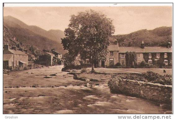 BEDDGELERT (RUISSEAU ET MAISONS) 65740       1914 - Pembrokeshire