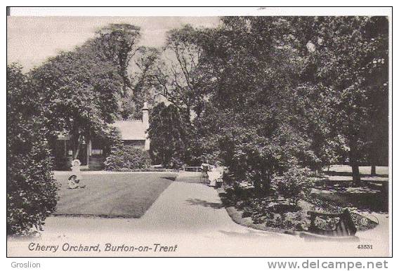 CHERRY ORCHARD BURTON ON TRENT 43531 (PETITE ANIMATION) - Other & Unclassified