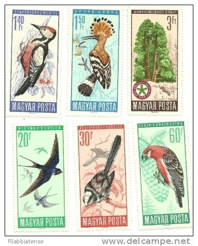 1966 - Ungheria 1809/14 Uccelli   ----- - Unused Stamps