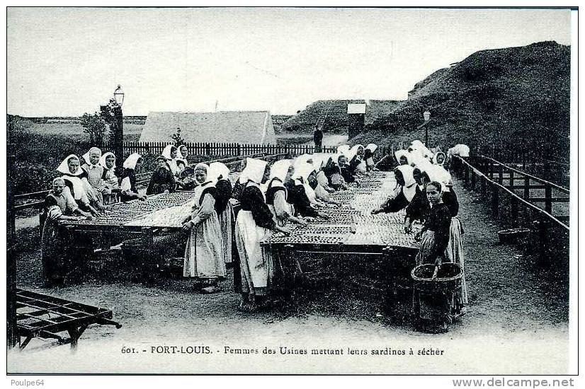 CPM - Femmes Des Usines Mettant Leurs Sardines à Sécher - ( Reproduction De CPA ) - Port Louis