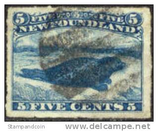 Newfoundland #40 XF Used 5c Blue Harp Seal From 1876 - 1865-1902