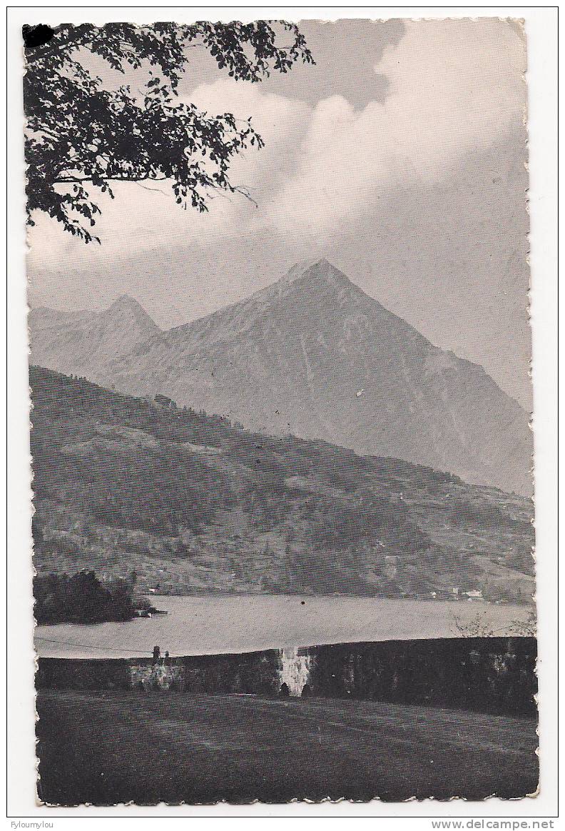 Carte Noir/blanc Avec Vue Sur La Montagne Le Niesen Et Le Lac De Thoune - 1956 - Thun