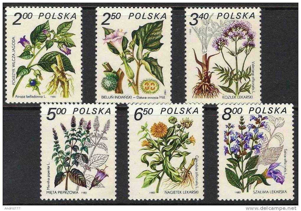 Poland Polska 1980 Herbs  Heilpflanzen - Nuevos