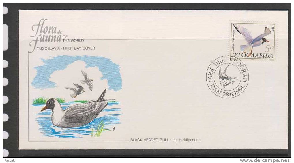 Yougoslavie Sur FDC Mouette Rieuse - Möwen