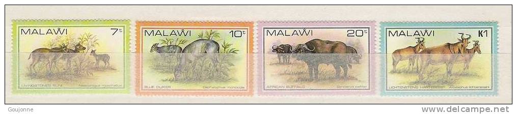 MALAWI   Faune  Parcs Nationaux   Animaux Sauvages   378 381** - Flamingo