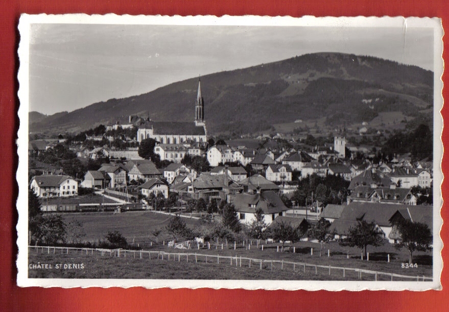 S248 Châtel St Denis, Vue Générale.Circulé Date Illisible.Perrochet 8344 - Châtel-Saint-Denis