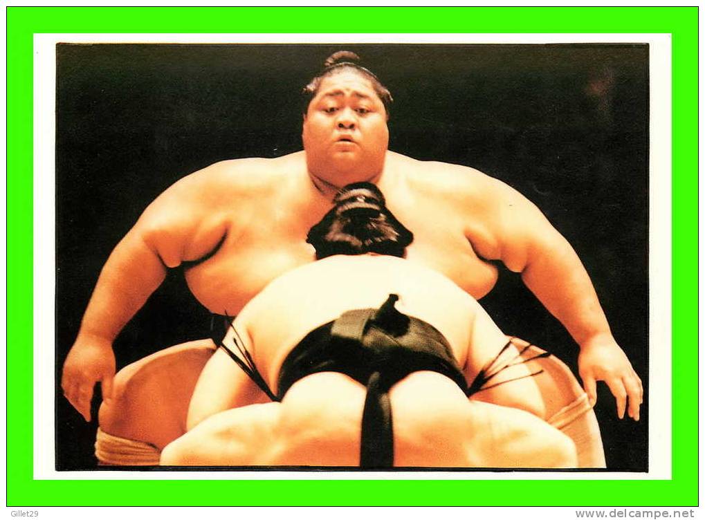 SUMO - LUTTE JAPONAISE - PAUL COOPER 1995 / THE BULK OF 284 KG DWARFS HIS OPPONENT - - Worstelen