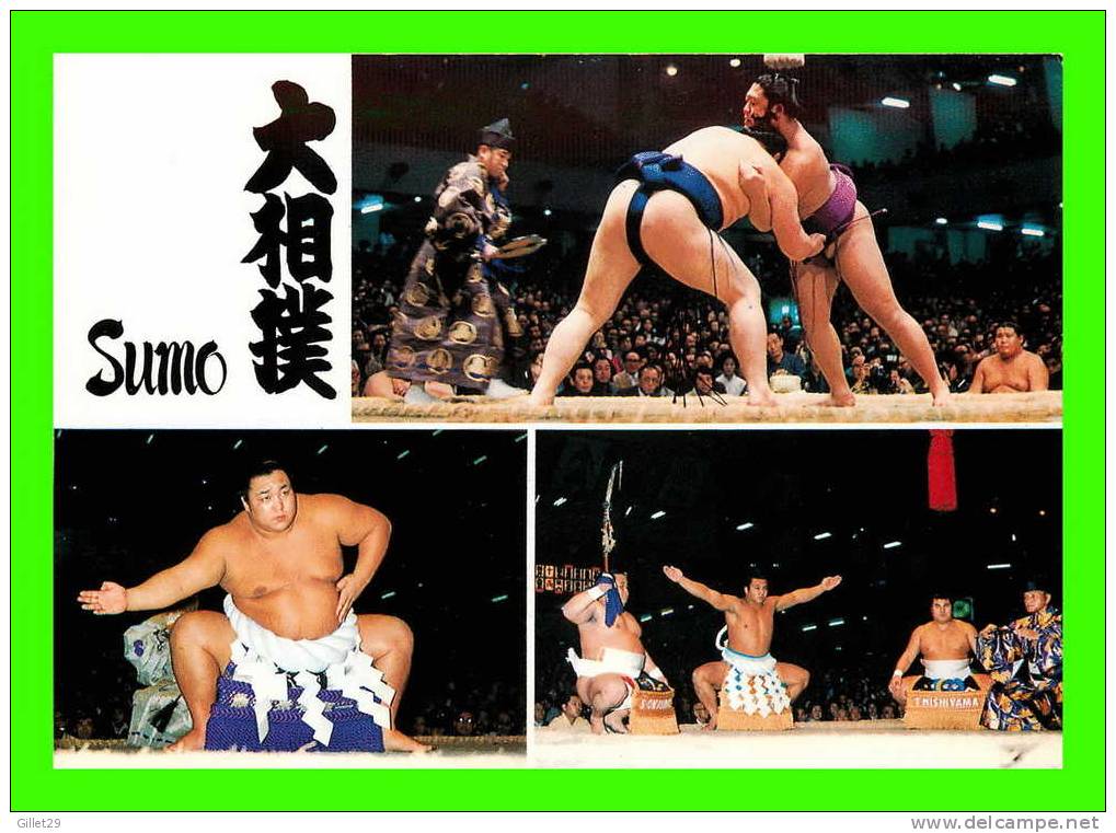 SUMO - LUTTE JAPONAISE - CHAMPION YOKOZUNA-NO-DOHYOIRI - 3 MULTIVUES - - Lutte