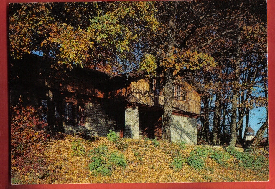 S257 Crêt Bérard, Le Pavillon En Automne, Puidoux.Cachet Puidoux  Au Coeur De Lavaux 1981. Deriaz 30912 - Puidoux