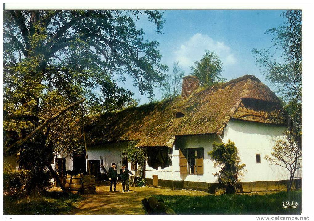 Provinciedomein BOKRIJK - Openluchtmuseum - Wellenshoeve - Ferme Wellens - Genk