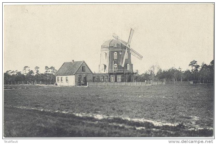 Hamburg Harburg Villa Fräulein Rauerts Mühle Hausbruch Windmühle Molen Moulin Mill 15.9.1913 Gelaufen - Harburg