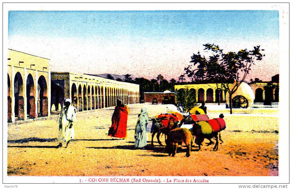 ALGERIE COLOMB BECHAR  MULES CHARGEES. - Bechar (Colomb Béchar)