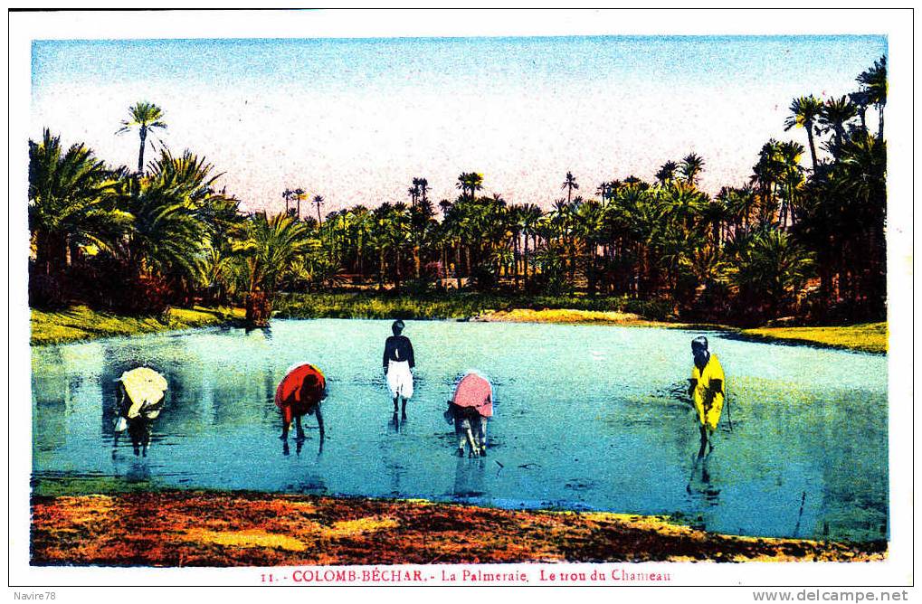 ALGERIE COLOMB BECHAR  BAIGNEURS AU TROU DU CHAMEAU. - Bechar (Colomb Béchar)