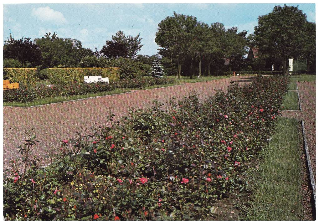 62 CPSM Wingles. Le Jardin Public Fernand Grenier. Voyagée T.B.E - Autres & Non Classés