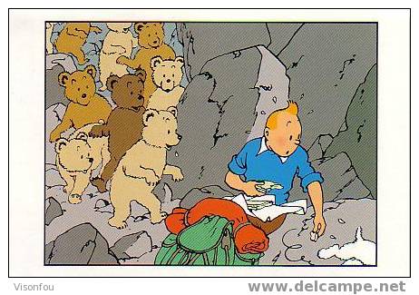 Cpm : Tintin Milou Et Les Oursons - Bandes Dessinées