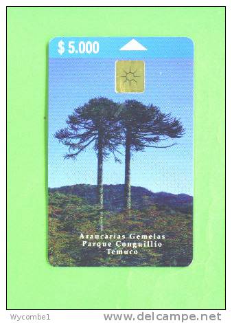 CHILE - Chip Phonecard/Araucaria Pine Tree - Chile