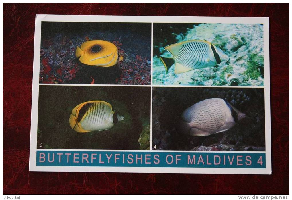 CPSM FIRST DAY OF THE YEAR  JOUR DE L'AN 01-01-1998 POST CARD BUTTERFLYFISHE OF  MALDIVES 4  AIRPORT POST OFFICE POISSON - Maldives