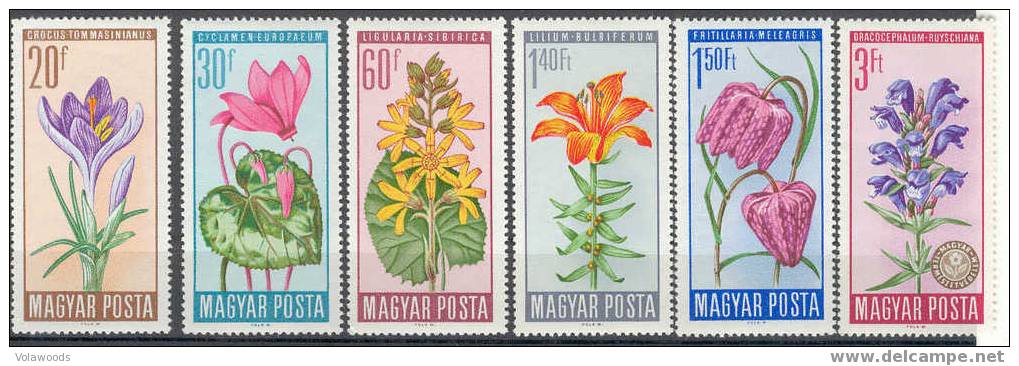 Ungheria - Serie Completa Nuova: Protezione Della Natura: Fiori Diversi - 1966 - Unused Stamps