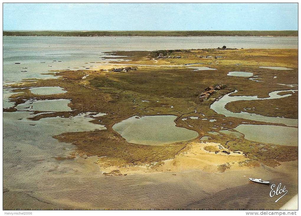 Bassin D'arcachon ( Gironde) Vue Aérienne L'ile Aux Oiseaux , Photo Chatagneau De Bordeaux - Arcachon