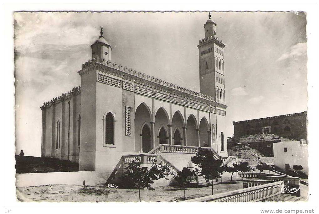 LAGHOUAT, Algérie ( Sud Algérien ):La  Mosquée ; Années 50; TB - Laghouat