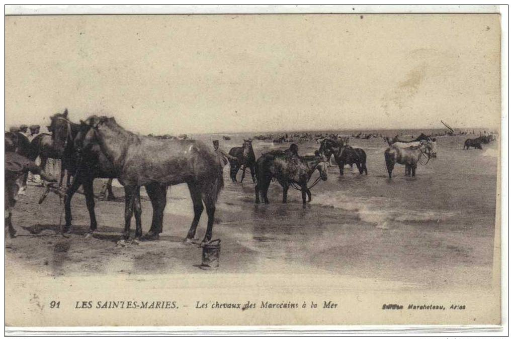 13, SAINTE-MARIE-de-la-MER, Les Chevaux Des Marocains à La Mer - Saintes Maries De La Mer