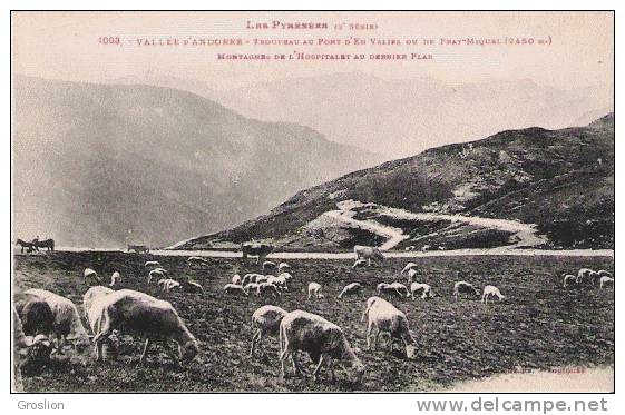 VALLEE D'ANDORRE 1003 TROUPEAU AU PONT D'EN VALIRA OU DE FRAY MIQUEL (2450 M) 1929 - Andorra